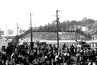 Williams Grove 7-27-24